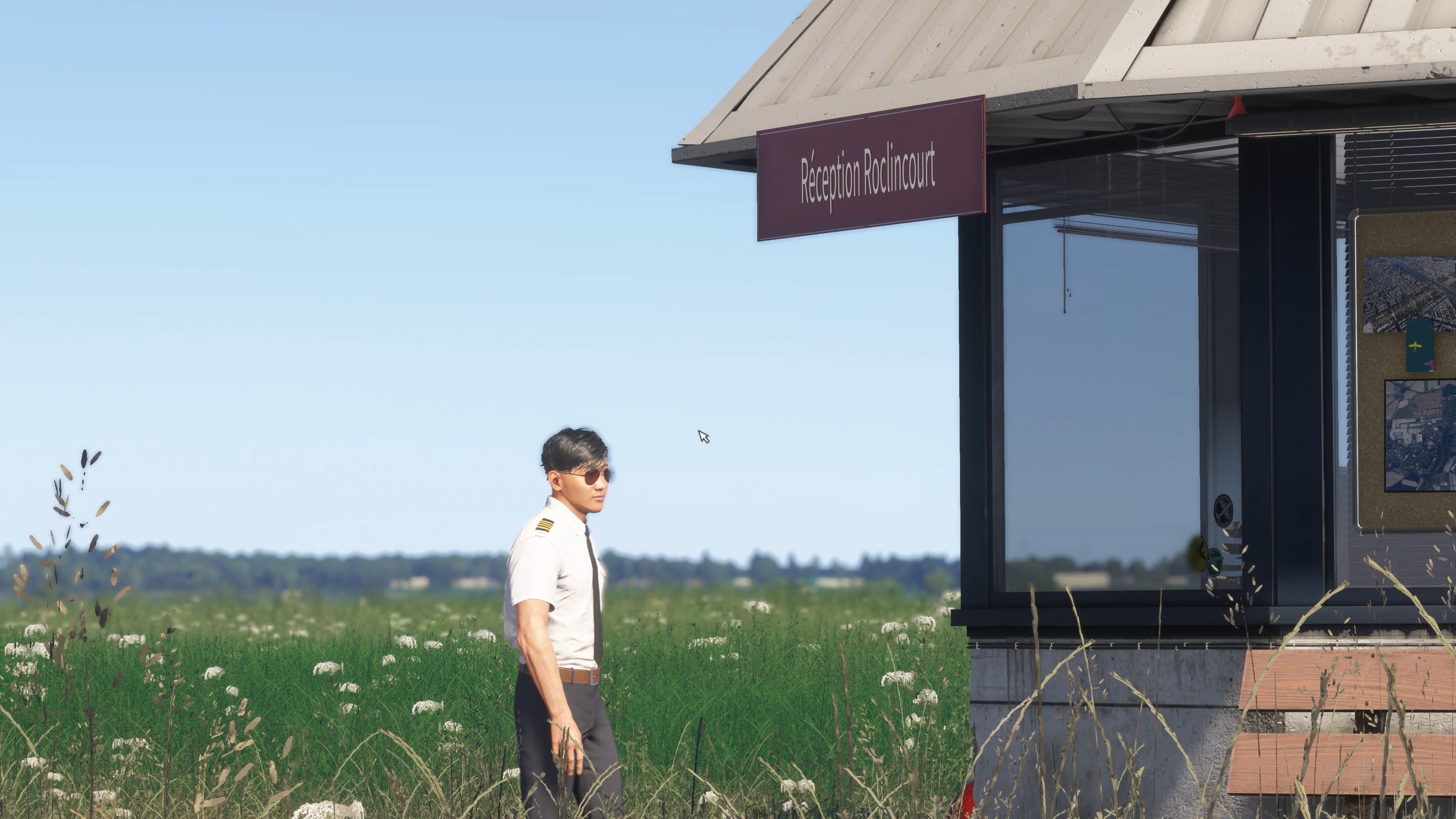 Microsoft Flight Simulator 2024 - Imagen 43
